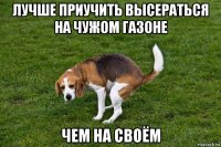 лучше приучить высераться на чужом газоне чем на своём