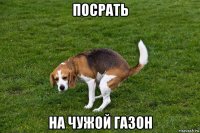 посрать на чужой газон