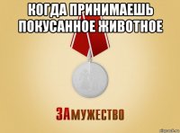 когда принимаешь покусанное животное 