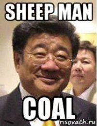 sheep man coal