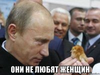  они не любят женщин