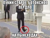 пукин старое, ботоксное пердло на пынеходах.