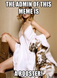 the admin of this meme is a rooster!