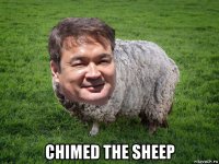  chimed the sheep