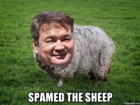  spamed the sheep
