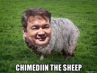  chimediin the sheep