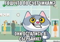 гош что по счетчикам? они остались в сбербанке!