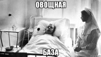 овощная база