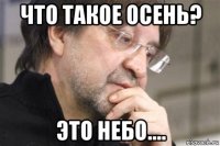 что такое осень? это небо....