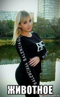  животное