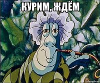 курим, ждём 