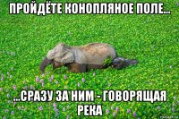 пройдёте конопляное поле... ...сразу за ним - говорящая река