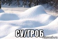  су/гроб