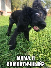  мама, я симпатичный?