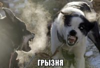  грызня