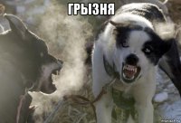 грызня 