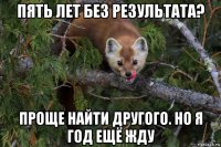 пять лет без результата? проще найти другого. но я год ещё жду