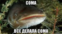 сома все делала сома