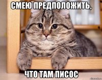 смею предположить, что там писос