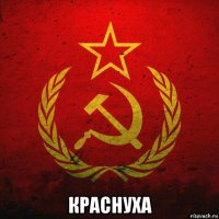  краснуха