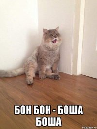  бон бон - боша боша