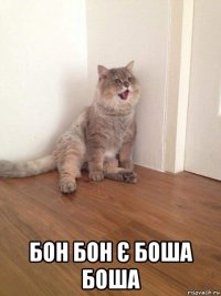  бон бон є боша боша