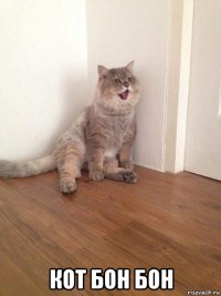  кот бон бон