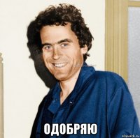  одобряю