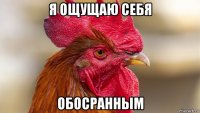 я ощущаю себя обосранным