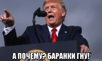  а почему? баранки гну!