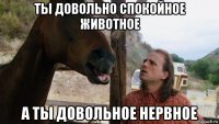 ты довольно спокойное животное а ты довольное нервное
