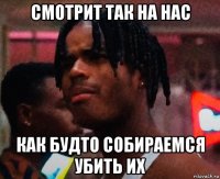 смотрит так на нас как будто собираемся убить их