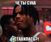че ты сука уставилась?!