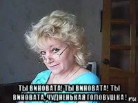  ты виновата! ты виновата! ты виновата, чудненькая головушка !