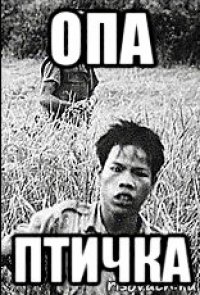 опа птичка