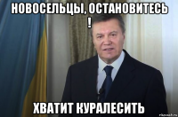 новосельцы, остановитесь ! хватит куралесить