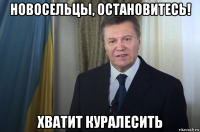 новосельцы, остановитесь! хватит куралесить