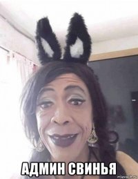 админ свинья