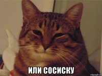  или сосиску