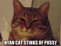  nyan cat stinks of pussy