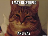 i may be stupid and gay