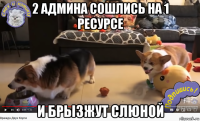 2 админа сошлись на 1 ресурсе и брызжут слюной