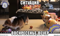 ситуация: воскресенье, вечер