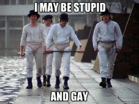 i may be stupid and gay