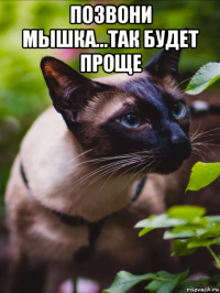 позвони мышка...так будет проще 