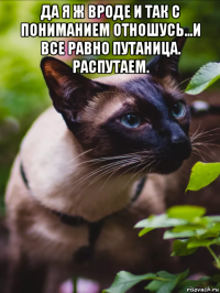 да я ж вроде и так с пониманием отношусь...и все равно путаница. распутаем. 