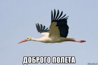  доброго полета
