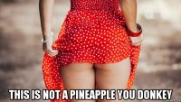  this is not a pineapple you donkey