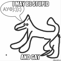 i may be stupid and gay