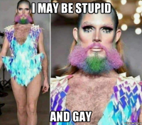 i may be stupid and gay